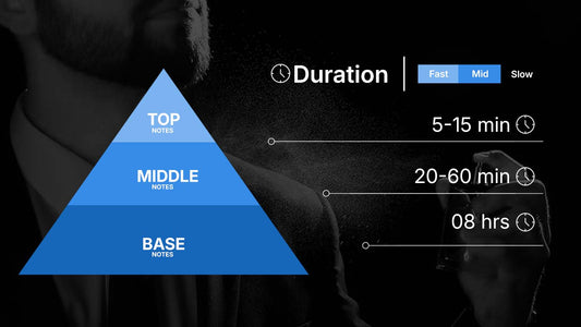 What Are Top, Middle and Base Notes in Perfume?
