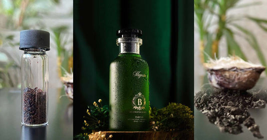 What Is the Real Musk of Perfumery? Unveiling the Essence of Elegance